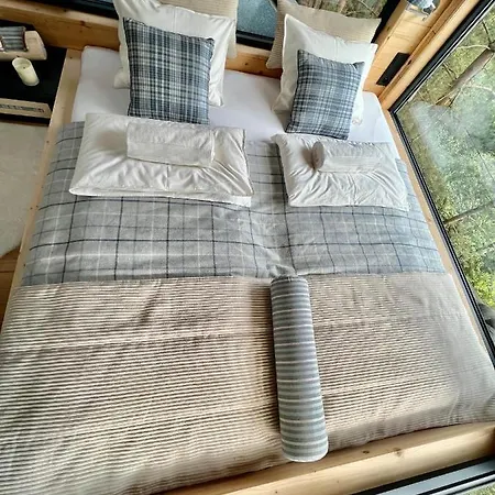 My Tree Warszawa, Macierowe Bagno * Varsovia