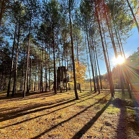 My Tree Warszawa, Macierowe Bagno