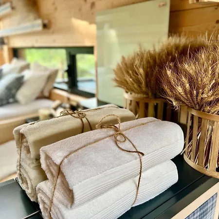 My Tree Warszawa, Macierowe Bagno Hotel Warsaw