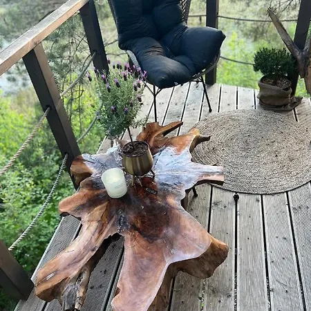 My Tree Warszawa, Macierowe Bagno * Varsovia