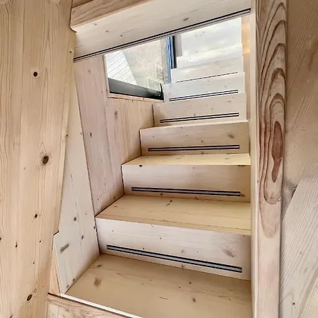 My Tree Warszawa, Macierowe Bagno Varsovia