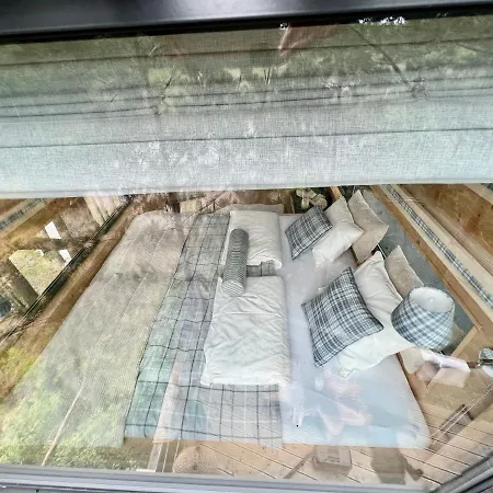 Hotel My Tree Warszawa, Macierowe Bagno