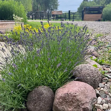 My Tree Warszawa, Macierowe Bagno Varsovia