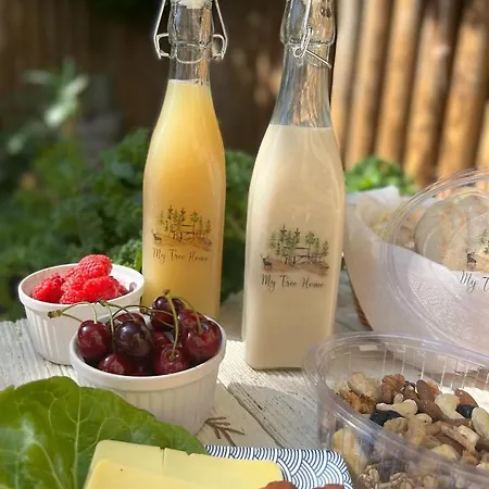 My Tree Warszawa, Macierowe Bagno *