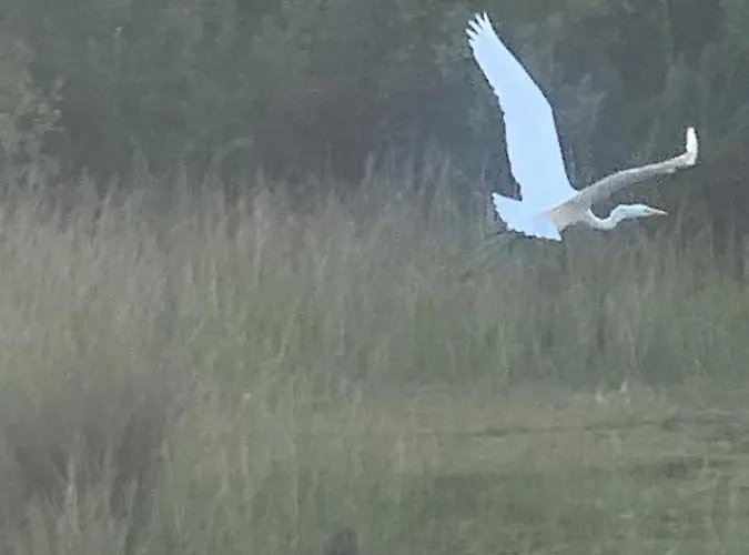 My Tree Warszawa, Macierowe Bagno Hotel