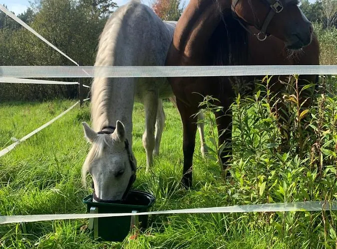 My Tree Warszawa, Macierowe Bagno Hotel *