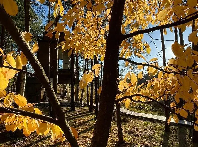 My Tree Warszawa, Macierowe Bagno Hotel *