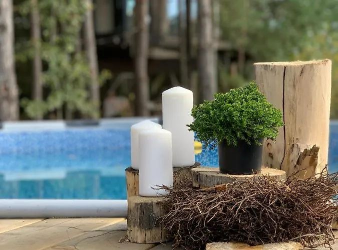 My Tree Warszawa, Macierowe Bagno * Warsaw