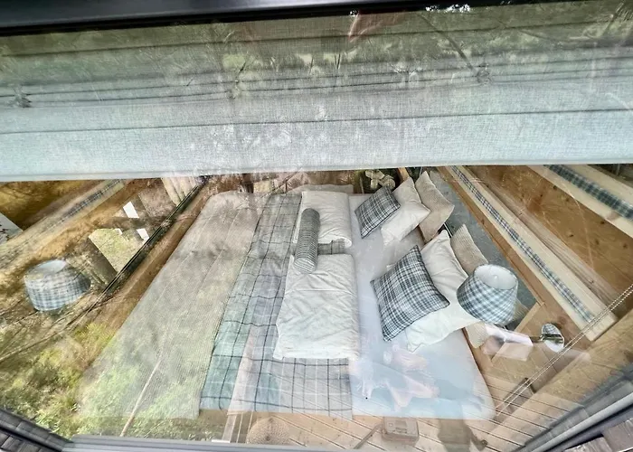 Hotel My Tree Warszawa, Macierowe Bagno