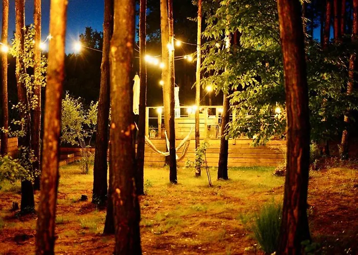 My Tree Warszawa, Macierowe Bagno * Warsaw