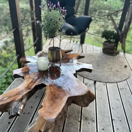 My Tree Warszawa, Macierowe Bagno Warszawa