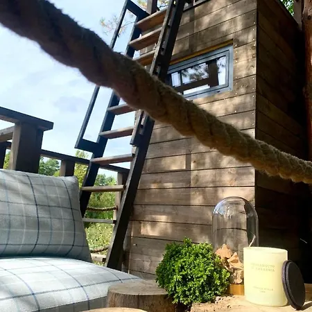 My Tree Warszawa, Macierowe Bagno Hotel Warszawa