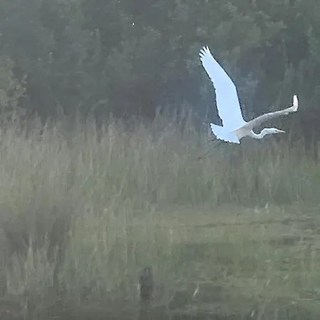 My Tree Warszawa, Macierowe Bagno Hotel