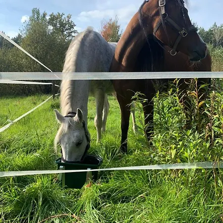 My Tree Warszawa, Macierowe Bagno Hotel *