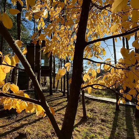 My Tree Warszawa, Macierowe Bagno Hotel *