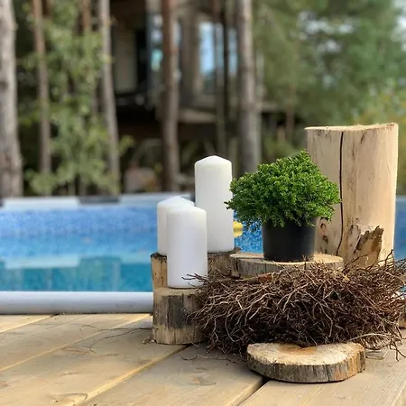 My Tree Warszawa, Macierowe Bagno * Warszawa