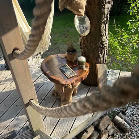 My Tree Warszawa, Macierowe Bagno *