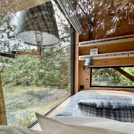 My Tree Warszawa, Macierowe Bagno * Warszawa