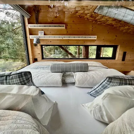 My Tree Warszawa, Macierowe Bagno Hotel