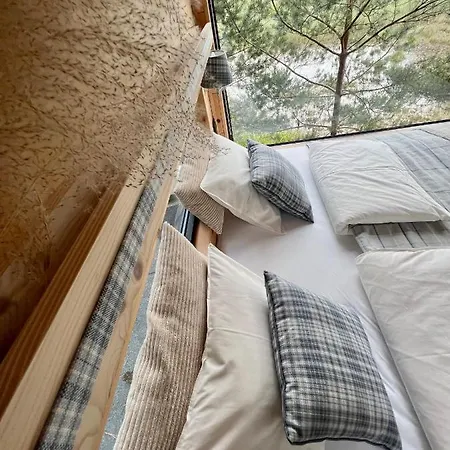 Hotel My Tree Warszawa, Macierowe Bagno *