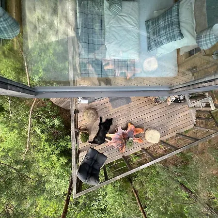 My Tree Warszawa, Macierowe Bagno Hotel Warszawa