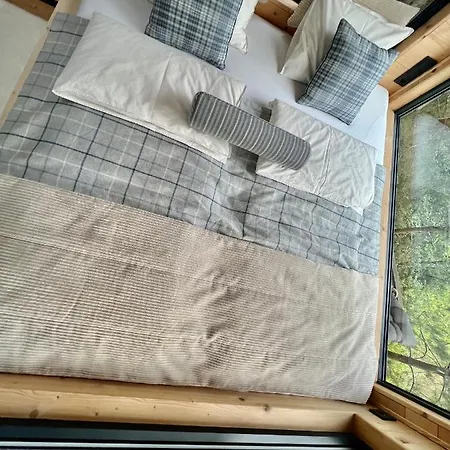 My Tree Warszawa, Macierowe Bagno *