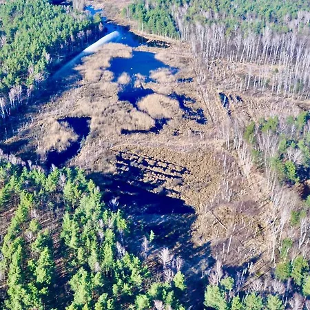 Hotel My Tree Warszawa, Macierowe Bagno