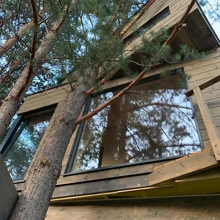 My Tree Warszawa, Macierowe Bagno فندق مبيت وإفطار وارسو