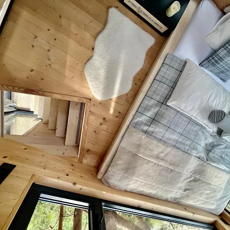 Hotel My Tree Warszawa, Macierowe Bagno