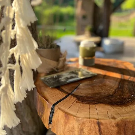 My Tree Warszawa, Macierowe Bagno *