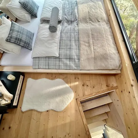 My Tree Warszawa, Macierowe Bagno ホテル *