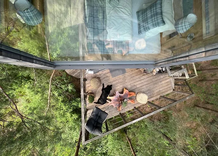 My Tree Warszawa, Macierowe Bagno Hotel Warszawa