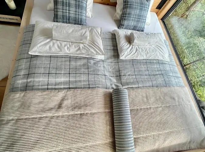 My Tree Warszawa, Macierowe Bagno * Warszawa