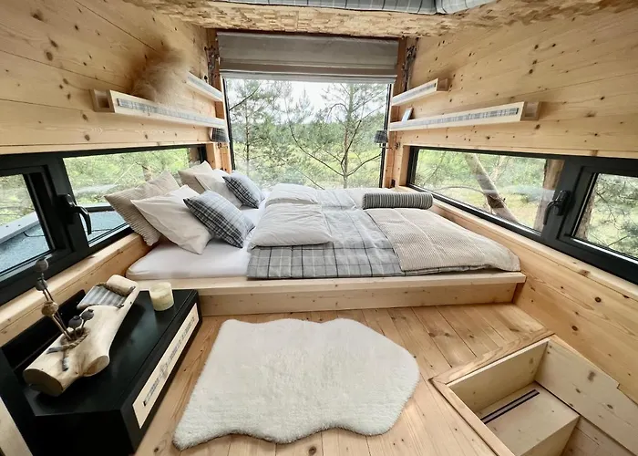 My Tree Warszawa, Macierowe Bagno