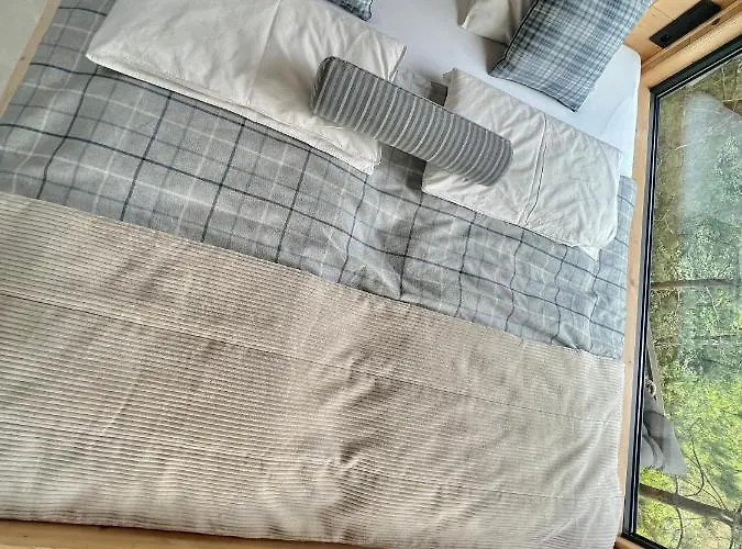 My Tree Warszawa, Macierowe Bagno *