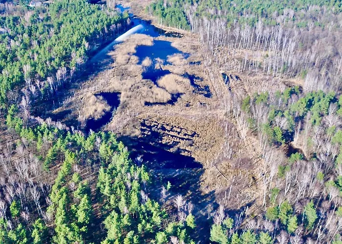Hotel My Tree Warszawa, Macierowe Bagno