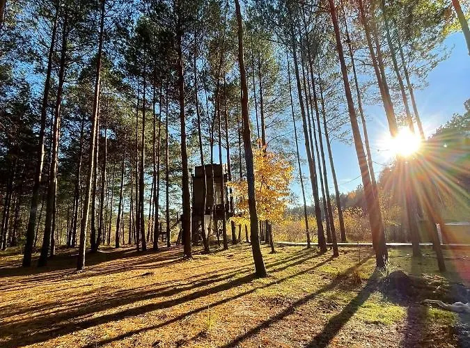 My Tree Warszawa, Macierowe Bagno