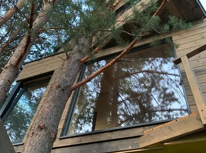 My Tree Warszawa, Macierowe Bagno Hotel Warschau