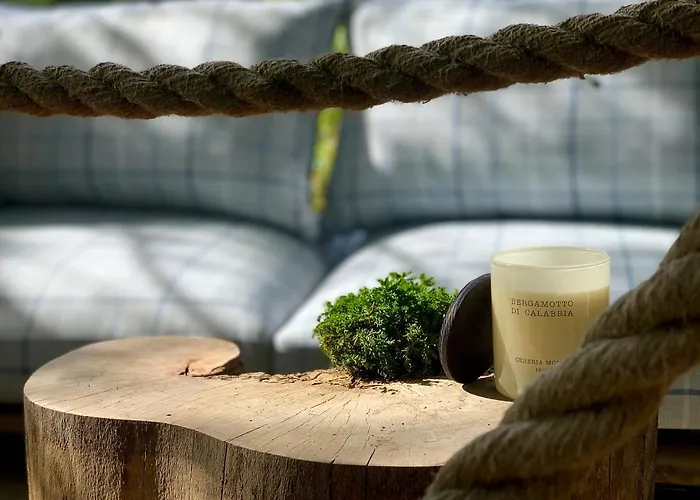 Hotel My Tree Warszawa, Macierowe Bagno Warszawa