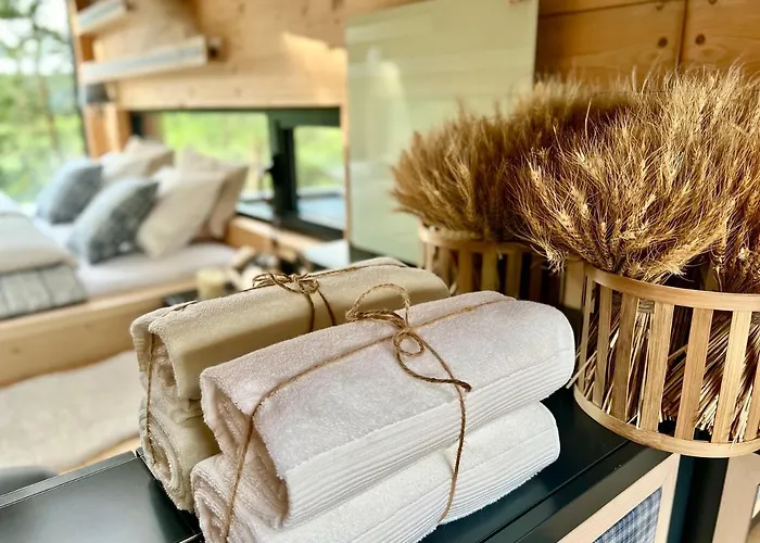 My Tree Warszawa, Macierowe Bagno Hotel Warszawa