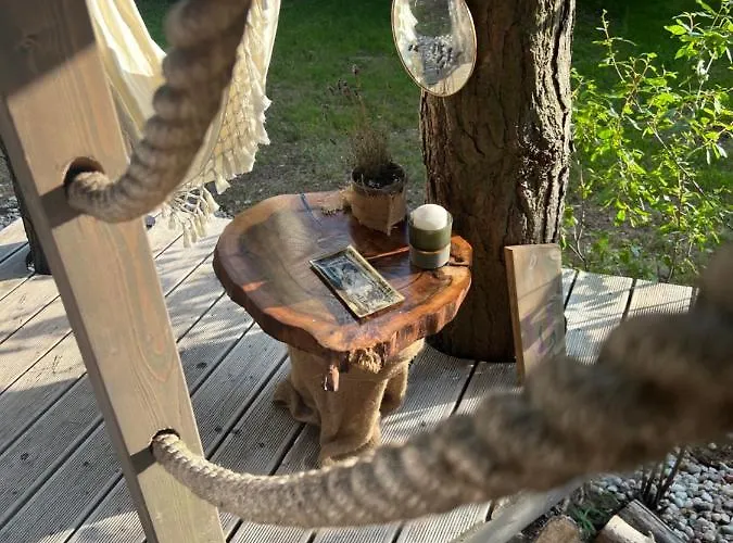 My Tree Warszawa, Macierowe Bagno *