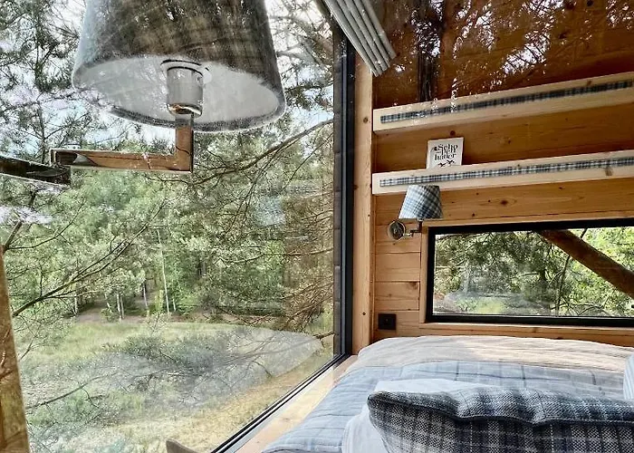 My Tree Warszawa, Macierowe Bagno * Warschau