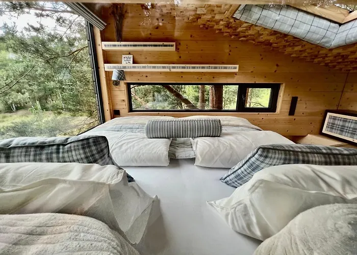 My Tree Warszawa, Macierowe Bagno Hotel