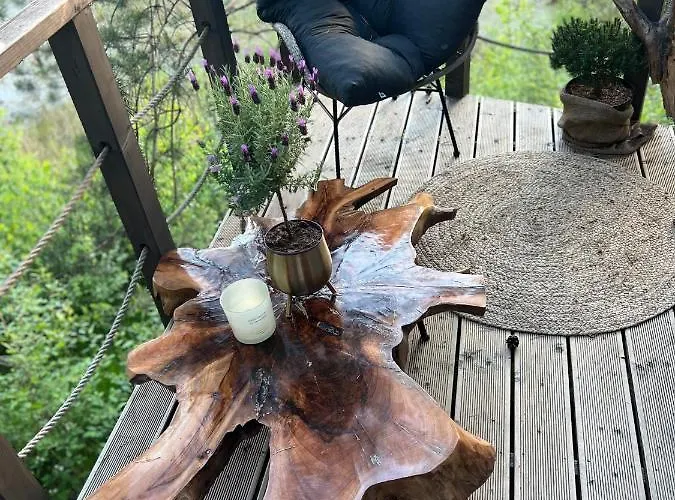 My Tree Warszawa, Macierowe Bagno * Warschau