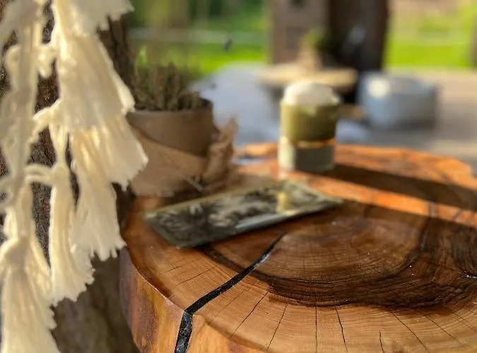 My Tree Warszawa, Macierowe Bagno *