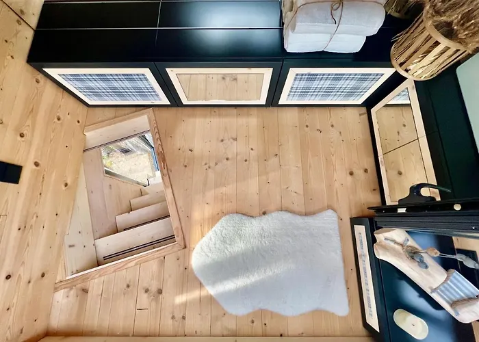 My Tree Warszawa, Macierowe Bagno * Warszawa