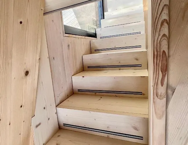 My Tree Warszawa, Macierowe Bagno Warszawa