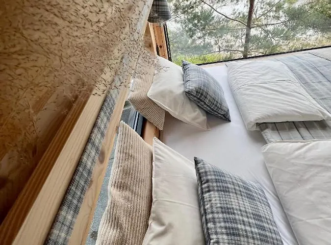 Hotel My Tree Warszawa, Macierowe Bagno *