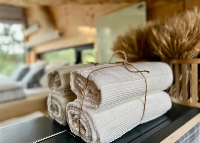 Hotel My Tree Warszawa, Macierowe Bagno *