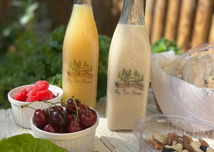 My Tree Warszawa, Macierowe Bagno *